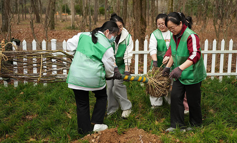 Cultivating Change: How Vevok Chef Celebrated Arbor Day to Earth Week